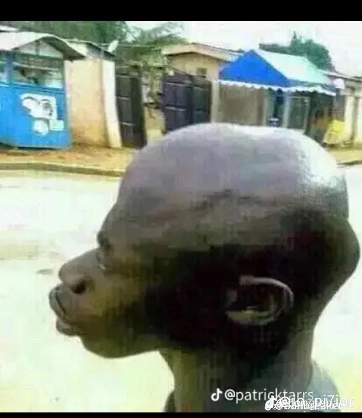 mi bomboclaut linGNm7