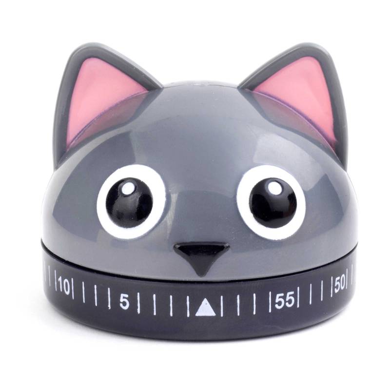 10 Second Cats
