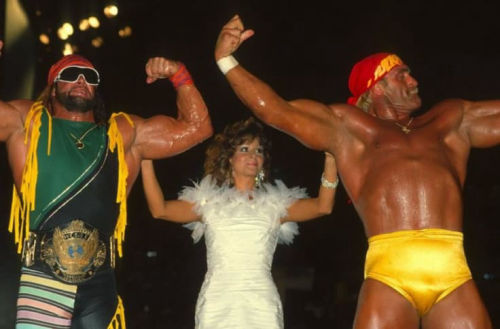 Macho Man Randy Savage - Insane