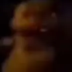 freddy humping (copy)