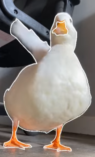nogla moan