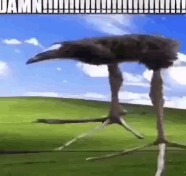 DAYUM