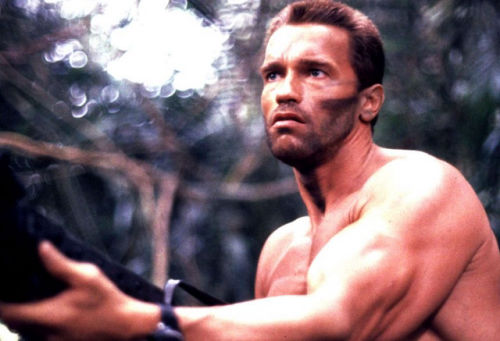 Arnold Schwarzenegger - What the fuck