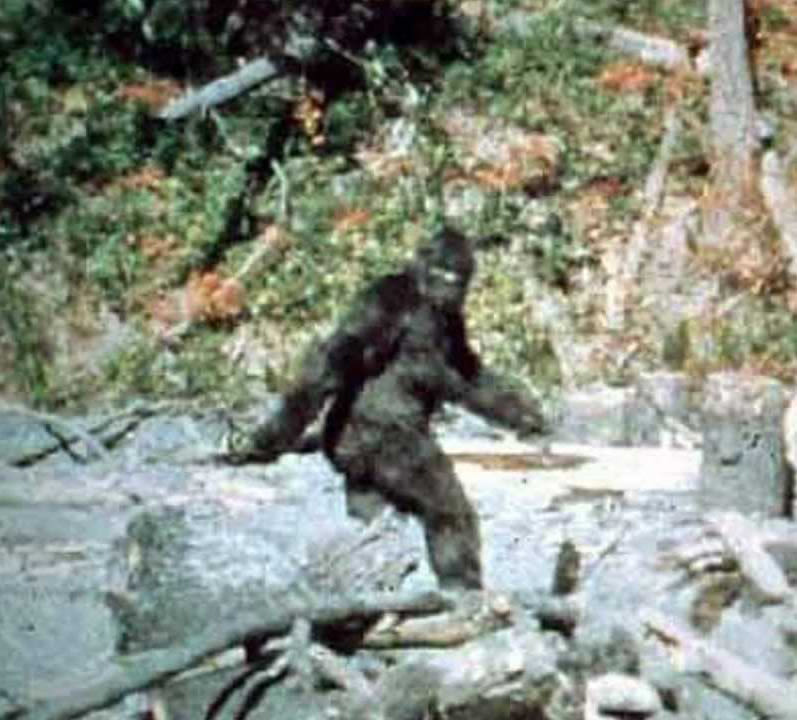 Bigfoot Roblox