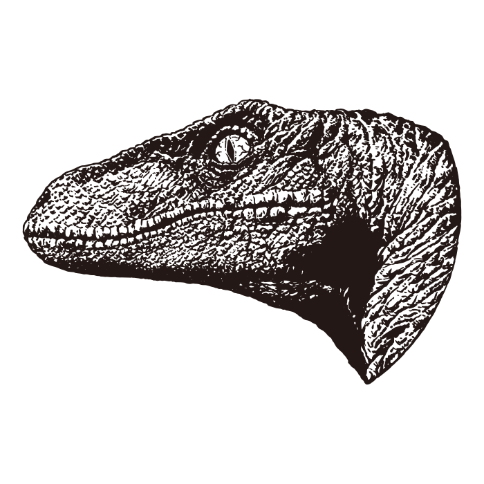 Raptor 4