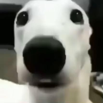 Kakangku