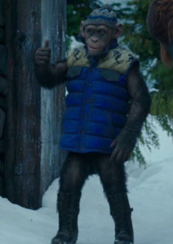 OH NOOO bad monkey