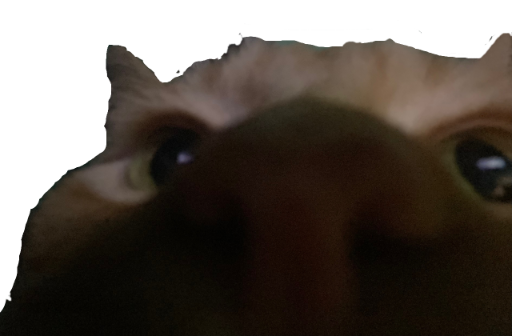Myapolocheese