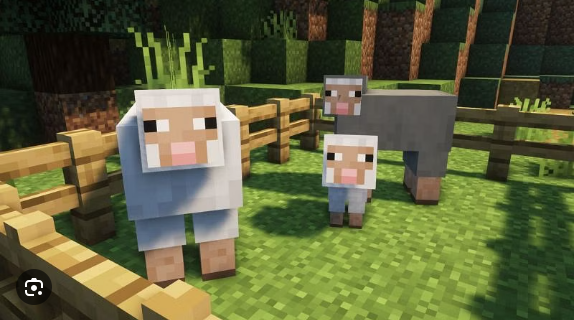 I`m a sheep