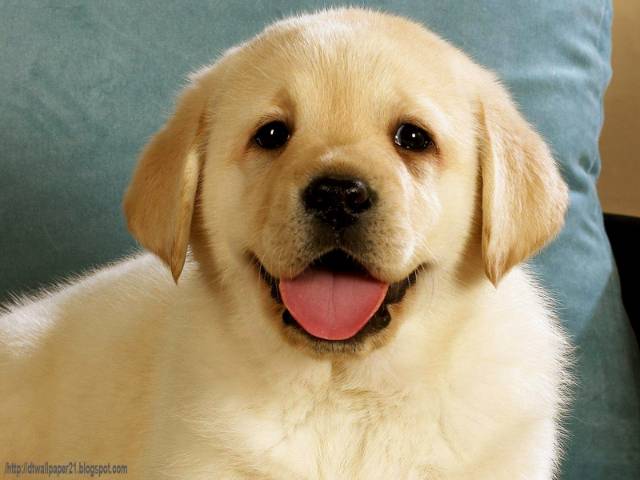 yyydxzfsdsggsxfgrxxtesw66sw6yataztaz