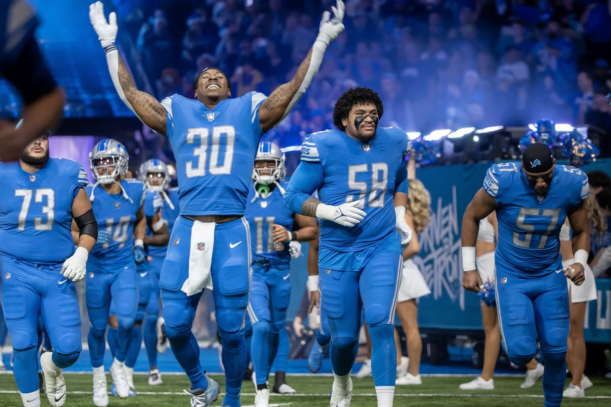 WE THE DETROIT LIONS!