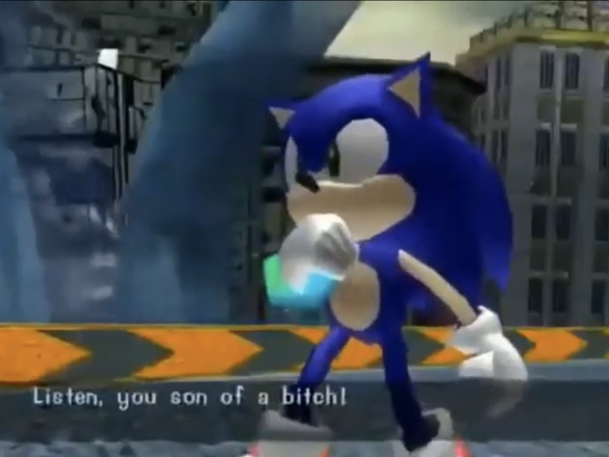 What the fuck is your problem Sonic