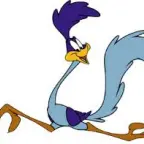meep meep