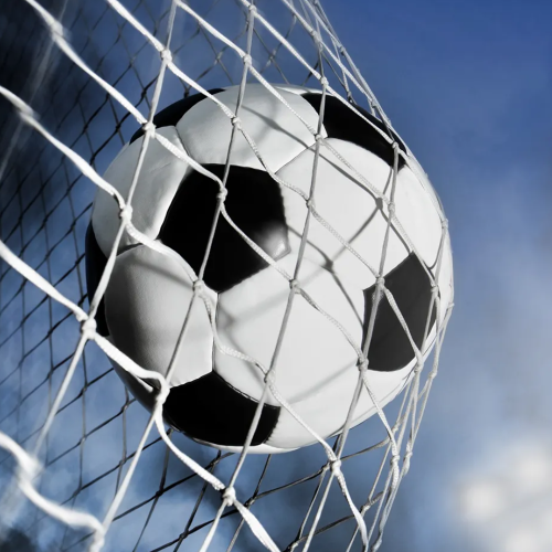 goal horn